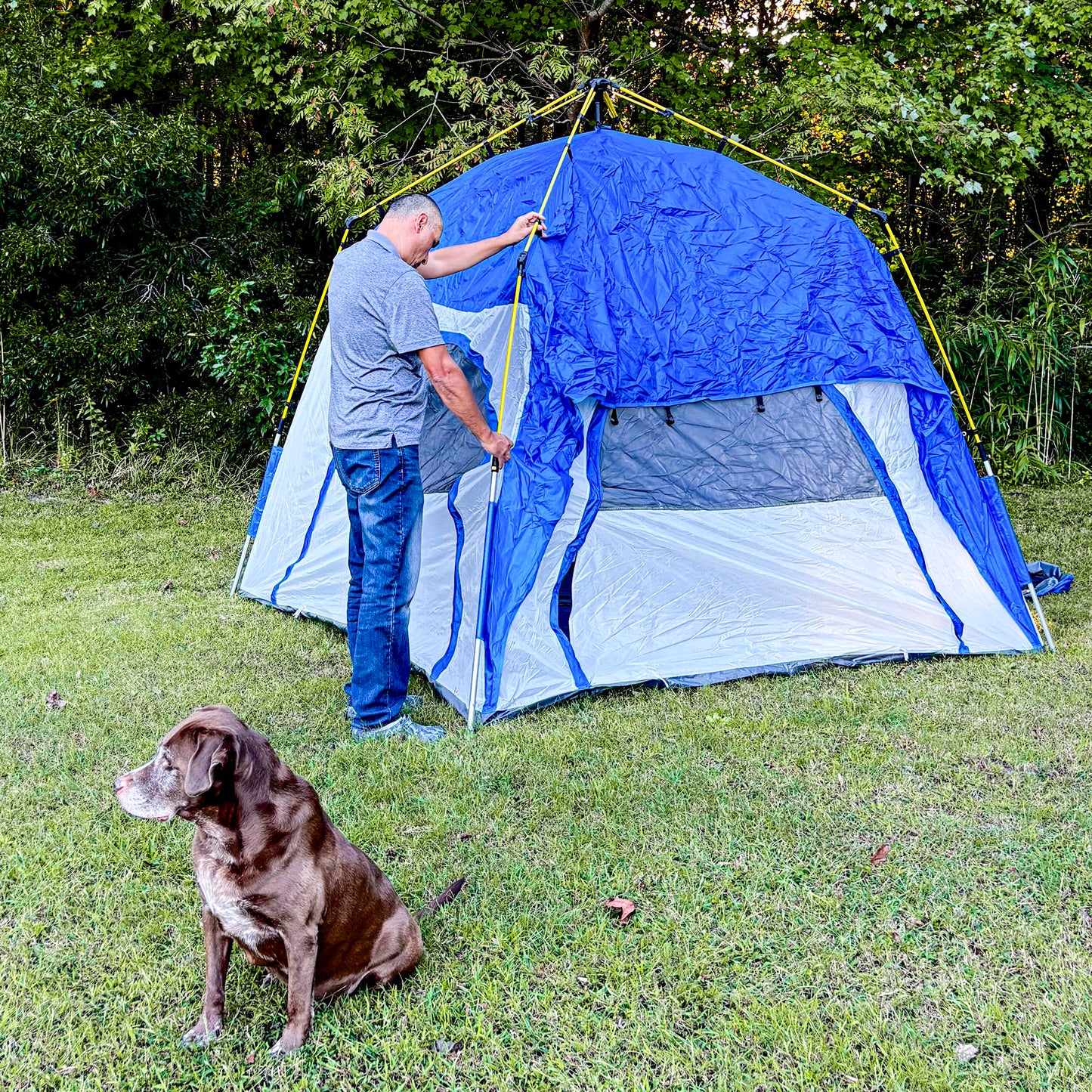 3-Person Pop-Up Camping Tent with Quick Setup & Windows - Blue