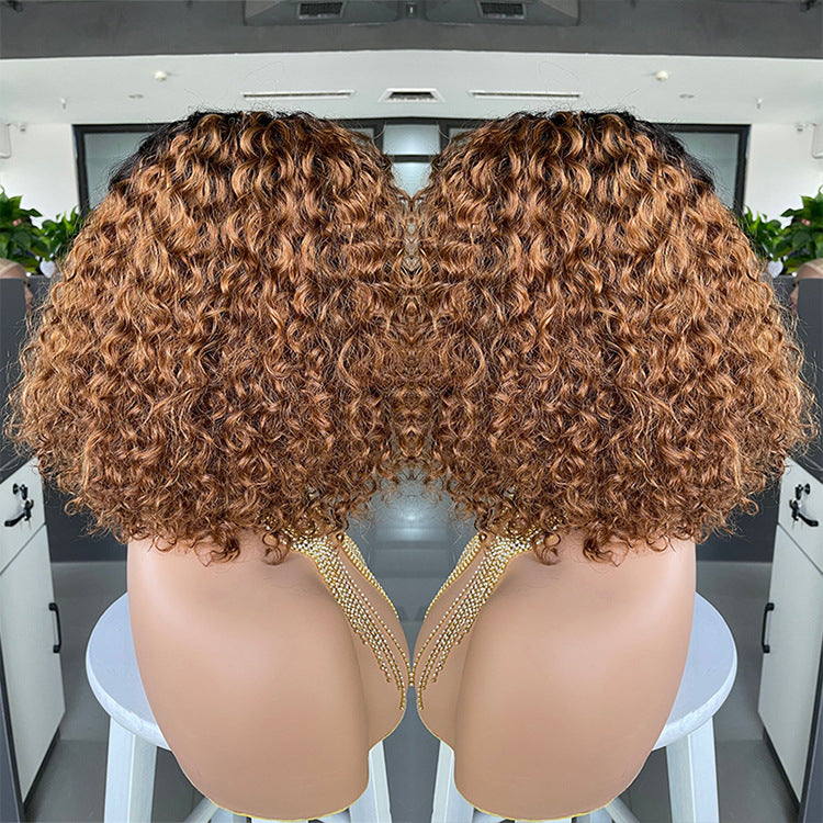 Black Human Hair Lace Wig for Women - Ombre Curly Bobo1b30 Style