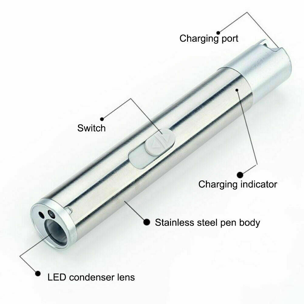 Rechargeable 3-in-1 Laser Pointer UV Flashlight Cat Dog Toy