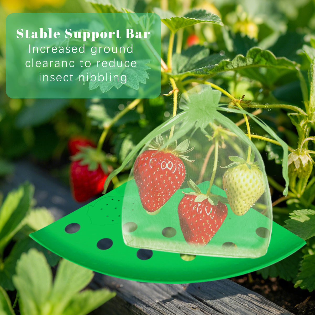 Strawberry Planting Kit with Support Racks and Mesh Bags