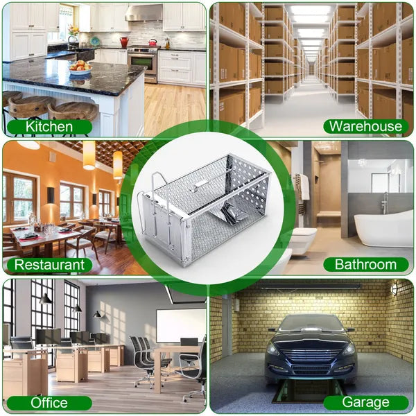 Humane Single Door Rat Trap - Stainless Steel Rodent Cage