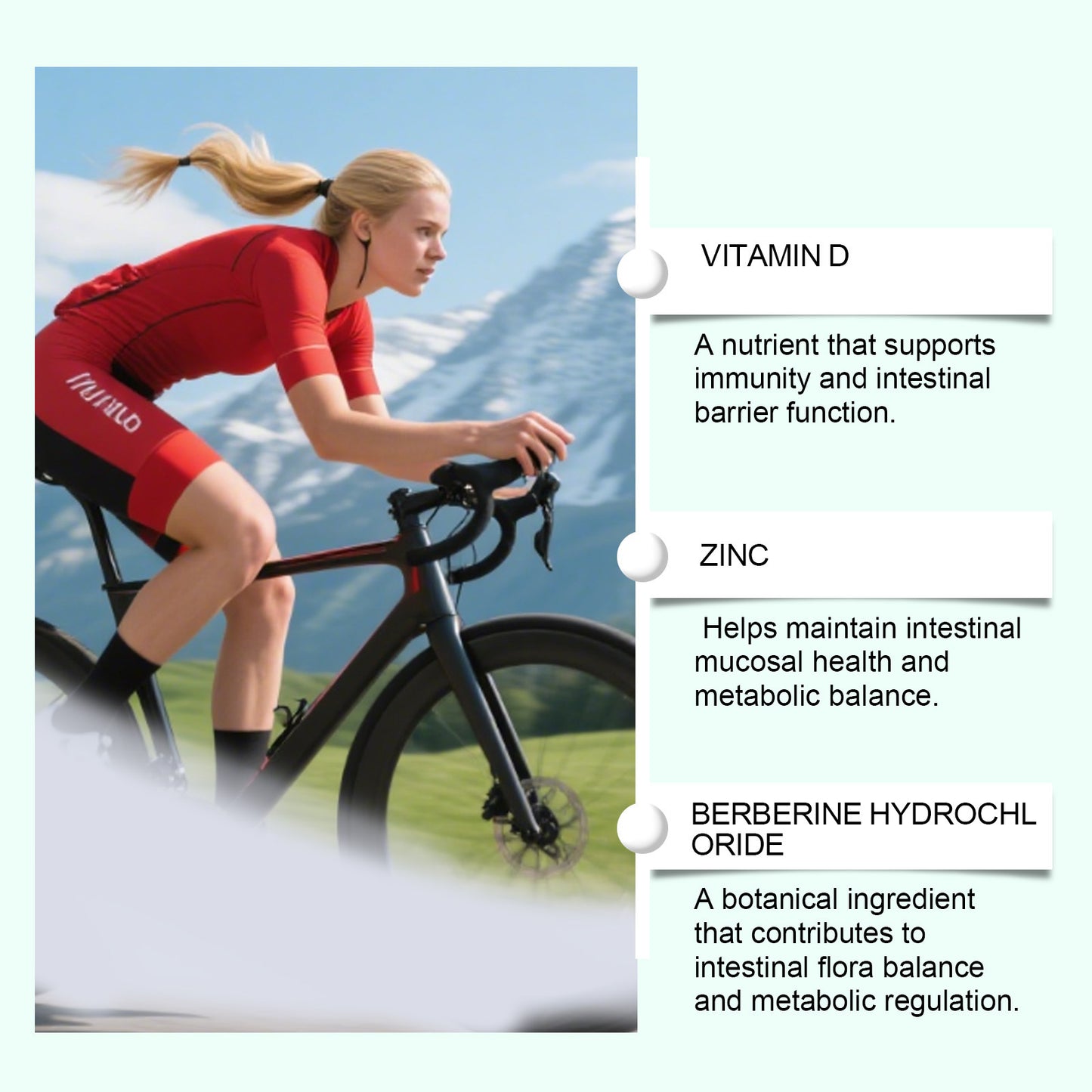 Digestive Support Capsules for Intestinal Health - 60 Count