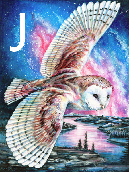 Owl Night Tree Pattern Embroidery Cross Stitch Kit - 5D Diamond Painting
