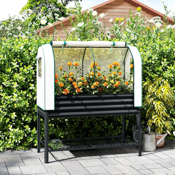 Raised Garden Bed with PE Greenhouse Cover - Elevated Design