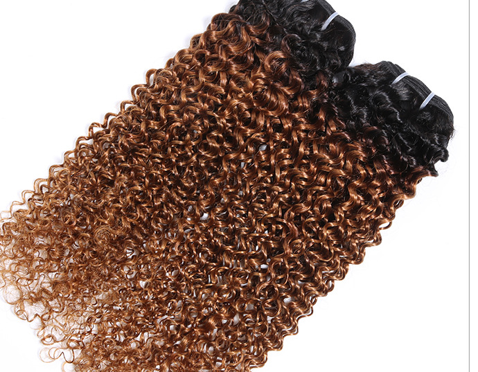 Real Human Hair Wig - Afro Kinky Curly, Multiple Sizes