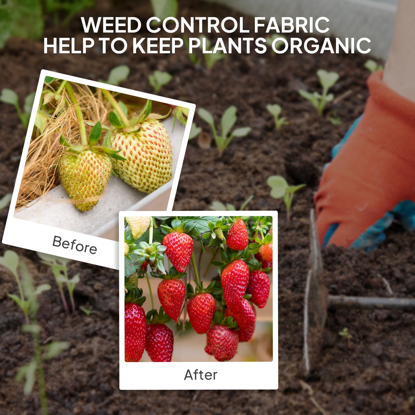 Heavy Duty Weed Barrier Landscape Fabric - Black, 3.9' x 300'