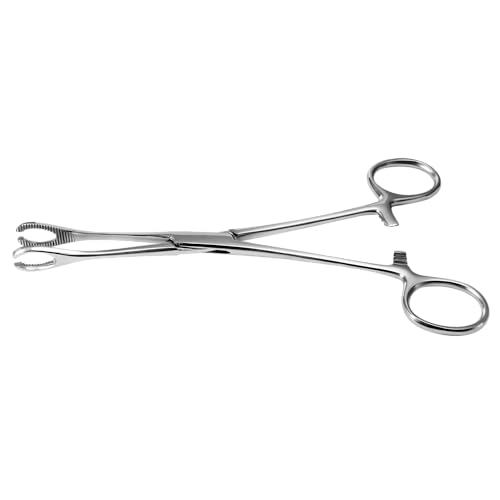 Professional Body Piercing Plier, Body Piercing Pliers Tool, Ear Lip Navel Nose Tongue Septum Sponge Forceps Clamp, 316L Stainless Steel Piercing Plier