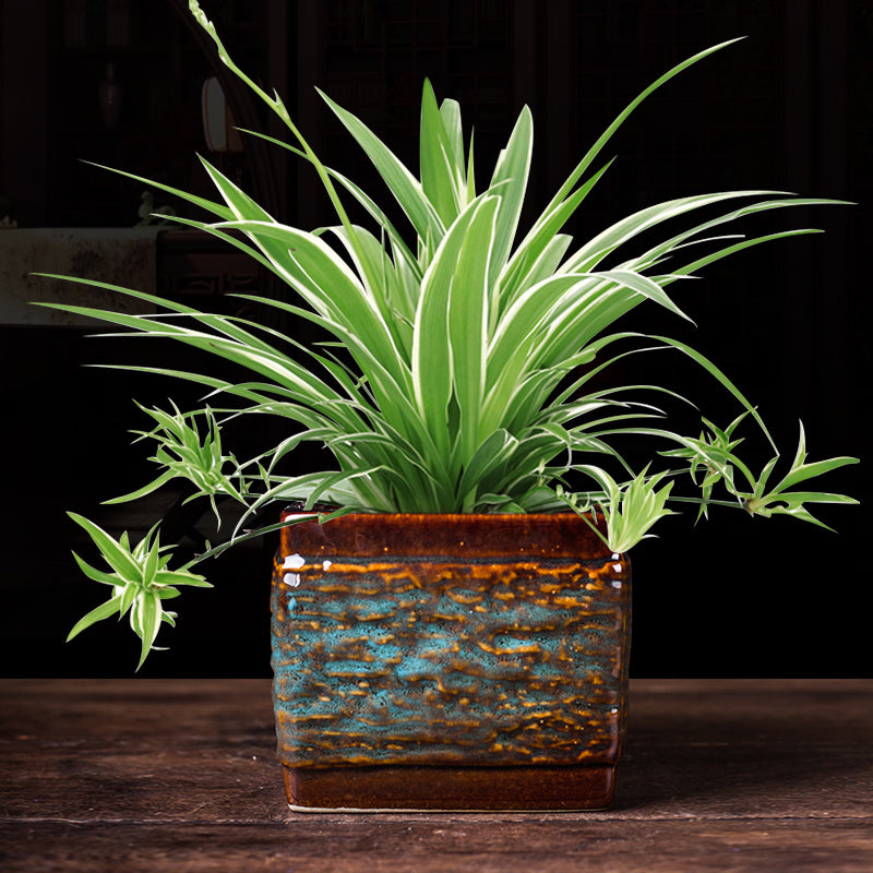 Ceramic Cylindrical Bonsai Pot for Orchids and Green Plants - Chinese Style