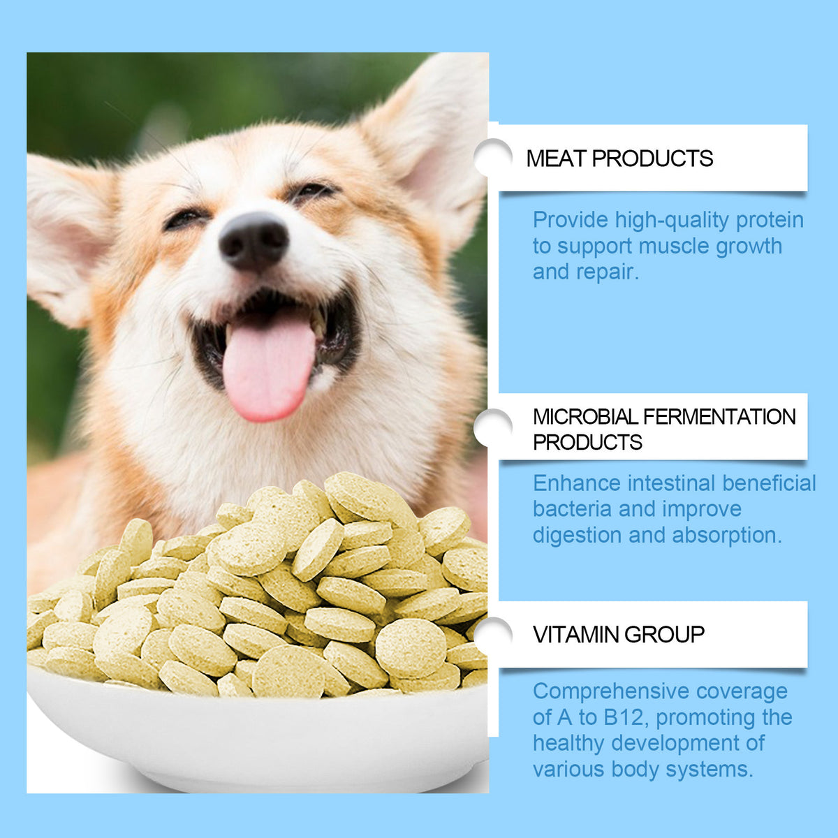 Cat & Dog Multivitamin Tablets - 80 Count