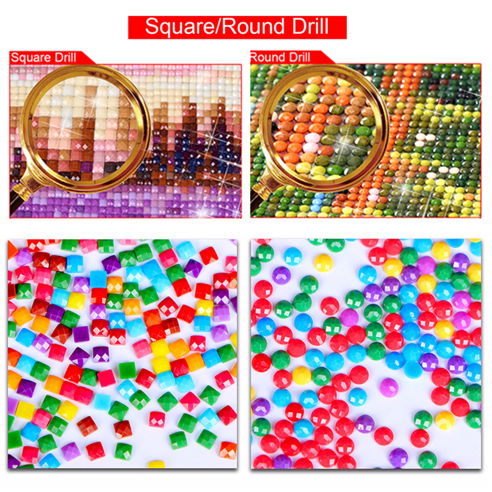 DIY Diamond Painting Kit Embroidered Square Bead Rhinestone Art Gift