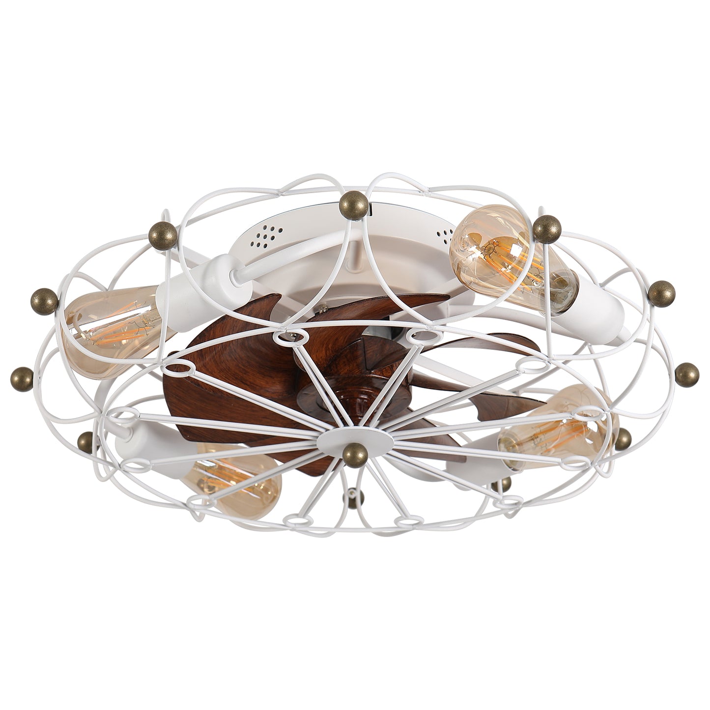Modern Caged Ceiling Fan with Lights and Remote Control
