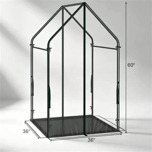 Portable Mini Greenhouse 36x36x60 Inches with PE Bottom Mat, Wind-Resistant Metal Frame