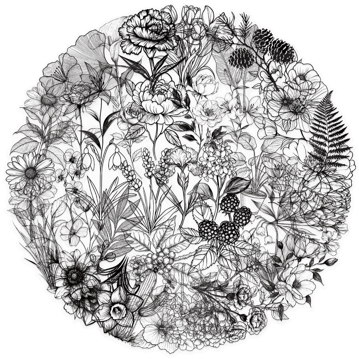 50 Black and White Plant PET Graffiti Stickers - Decorative Garden Decor