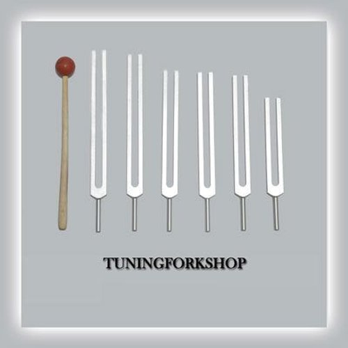 TFS Tuningforkshop 6 Pc Solfeggio Tuning Fork Including 528 hz with Mallet & Pouch