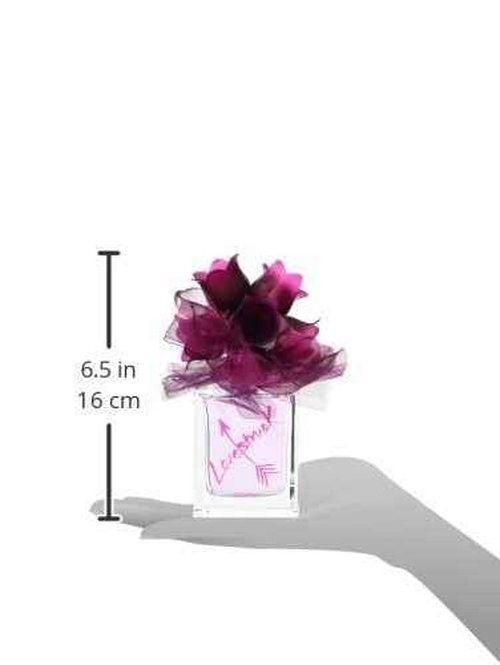 Love Struck Eau De Parfum Spray for Women by Vera Wang, 3.4 Ounce (Pack of 2)