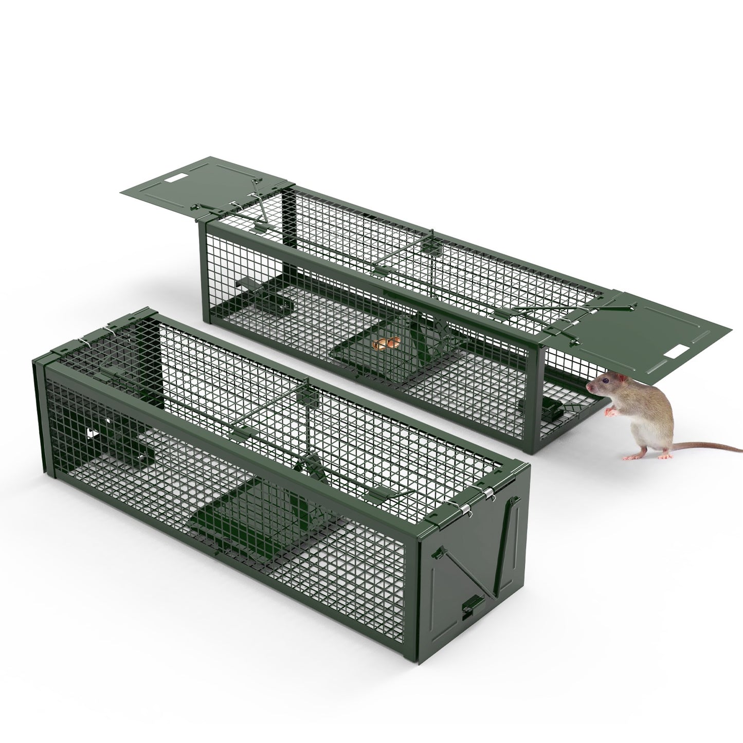Humane Live Rat Trap - 2-Door Heavy-Duty Galvanized Iron Cage