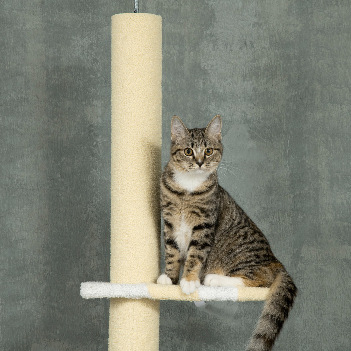 Adjustable Floor-to-Ceiling Cat Tree with Plush Platforms and Scratching Posts - Yellow