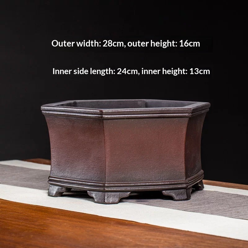 Hexagonal Orchid & Aglaonema Plant Pot - High-Quality Decorative Garden Container