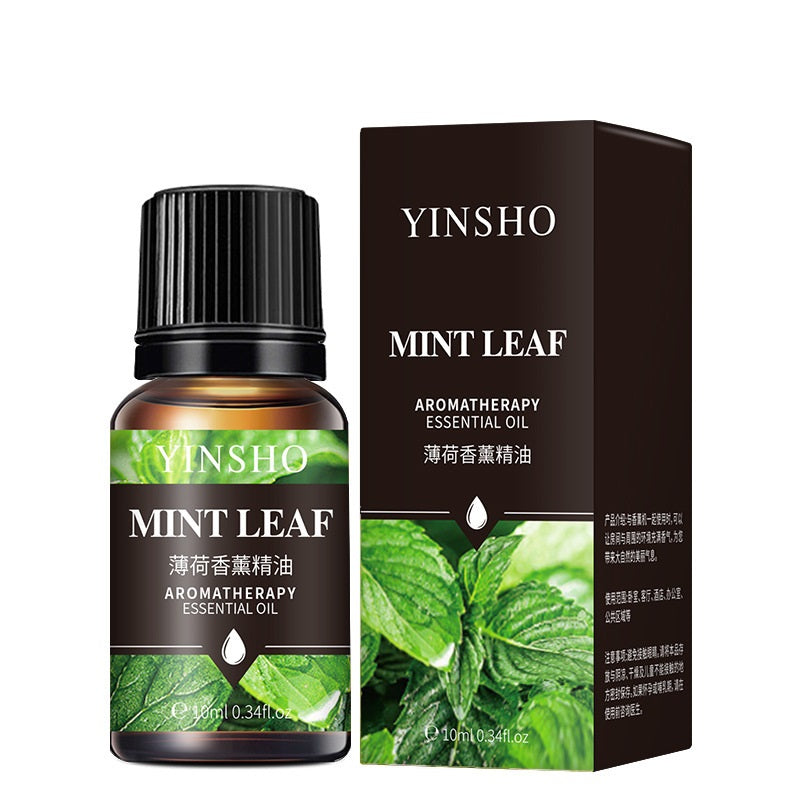Water-Soluble Aromatherapy Oil for Sleep and Relaxation - Rose, Jasmine, Mint, White Tea & More