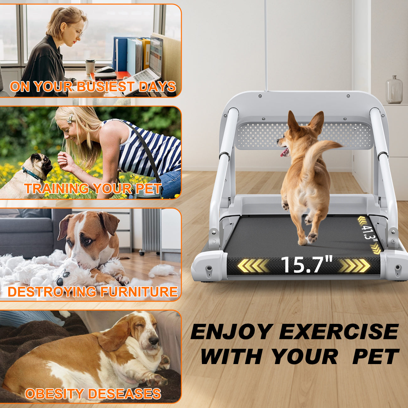 Quiet Smart Pet Treadmill for Small-Medium Dogs - Off White