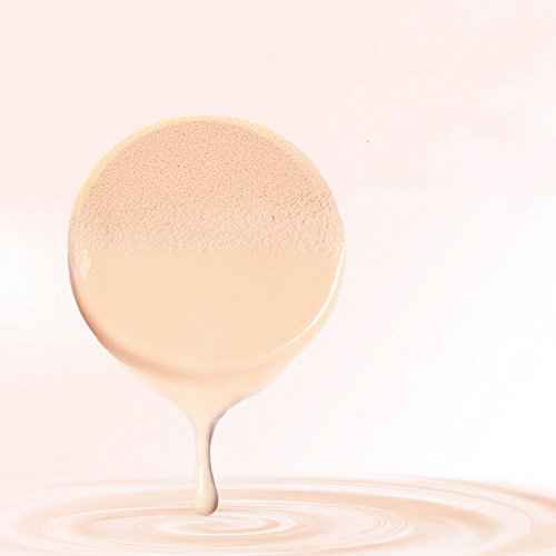 OWLFAVO 2pcs Round Makeup Sponges with 1 Travel Case, Beauty Face Primer Compact Powder Puff, Blender Sponge Replacement for Cosmetic Flawless Foundation, Sensitive and All Skin Types