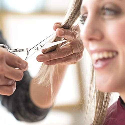 Hair Cutting Scissors Professional Home Haircutting Barber/Salon Thinning Shears Kit with Comb and Case for Men/Women (Silver)