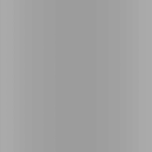 Dupli-Color EBFM02267 Perfect Match Automotive Spray, Ford Silver Metallic, 1E – 8 oz. Aerosol Can