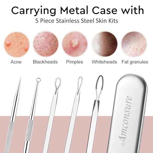 Amconsure Facial Steamer - Nano Ionic Face Steamer Warm Mist Steamer for Home Sauna SPA, Humidifier for Face Steamer for Deep Cleaning Unclogs Pores Sinuses - Bonus 5 Piece Stainless Steel Skin Kit