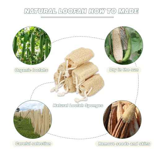 Natural Loofah Sponge Organic Loofa Set 6 Pack,Exfoliating Body Scrubber Shower Luffa Men and Women for Bath Cleaning Skin Back and Face Eco Tool