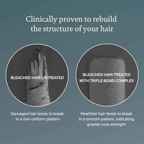 Living Proof Triple Bond Complex Leave-In Treatment and Hair Mask