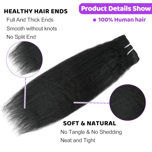 Kinky Straight Clip ins 26 Inch Clip in Hair Extensions Real Human Hair Yaki Straight Clip ins for Black Women Full Head Brazilian Remy Hair Extensions Double Weft 8Pcs 100g 20 Clips