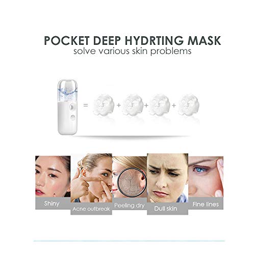 GIVERARE Nano Facial Steamer, Handy Mini Mister, USB Rechargeable Mist Sprayer, 30ml Visual Water Tank Moisturizing&Hydrating for Face, Daily Makeup, Skin Care, Eyelash Extensions-White
