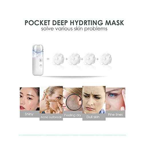 GIVERARE Nano Facial Steamer, Handy Mini Mister, USB Rechargeable Mist Sprayer, 30ml Visual Water Tank Moisturizing&Hydrating for Face, Daily Makeup, Skin Care, Eyelash Extensions-White
