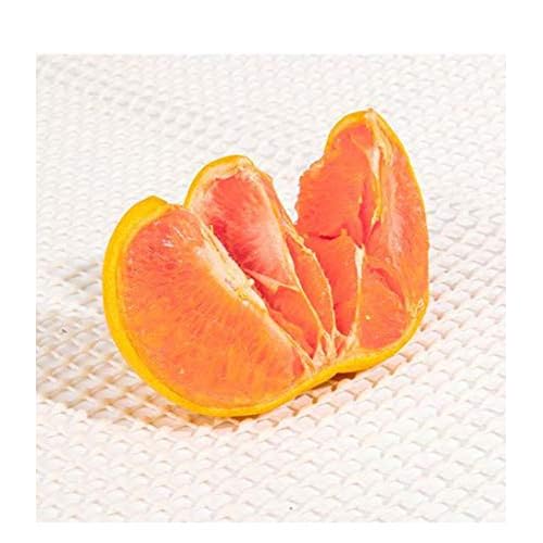 Bon Parfumeur Paris 001 Orange Blossom Petitgrain Bergamot - 30 ml