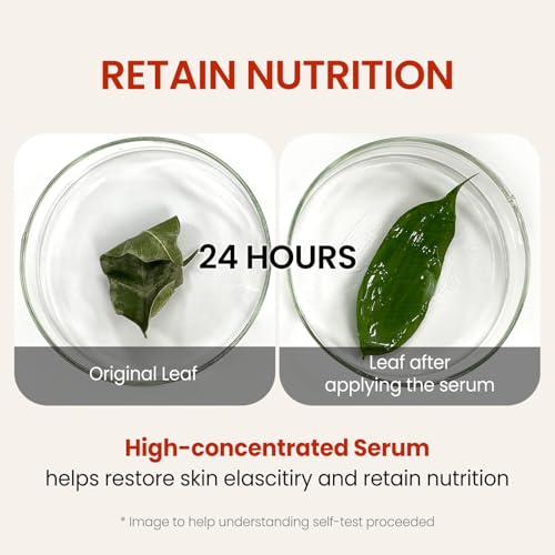 THE SKIN HOUSE Wrinkle Supreme Serum ? Nourishing Firming Serum with Adenosine | Smooth Texture & Elasticity Boost | 50ml / 1.69 fl.oz