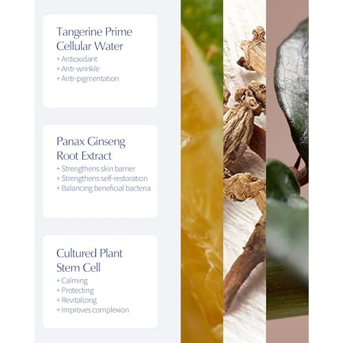 LBB Cellular Intensive Care In Cream - Vegan Antioxidant Face Moisturizer for Balanced and Youthful Skin - Improves Wrinkles, Elasticity - Tangerine Cellular Water, Plant Cell Extracts, 1.69 oz.