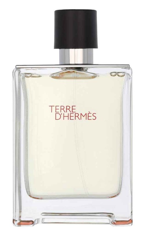 Terre D' Hermes Eau De Toilette Spray for Men by Hermes - 3.3 oz / 100 ml
