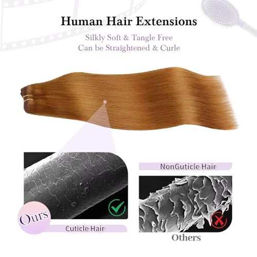 Remy Hair Extensions clip ins Hair Etensions for Women #30 Light Ginger Brown Double Weft Natural Hair Extensions Straight 8Pcs Soft and Thick 20inch 100g