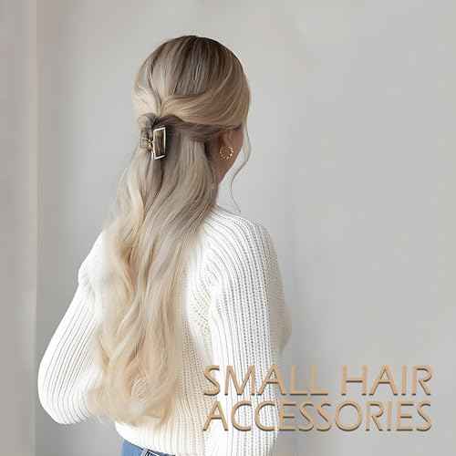 2 Pcs Gold Hair Clips Small Metal Claw Clips for Thin Hair Non-Slip Strong Hold Braided Hair Clips for Women