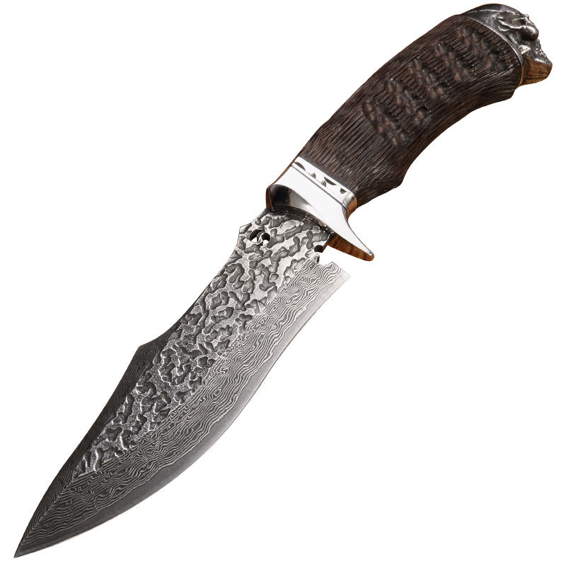Damascus Steel Fruit Knife - Sharp Kitchen Knife with Sleeve, 80cm Blade