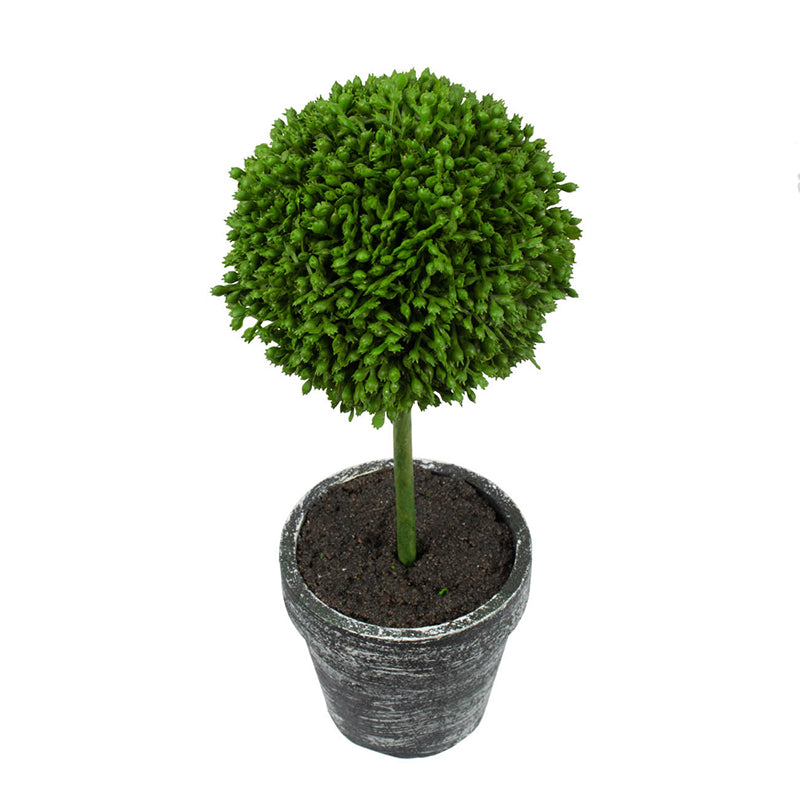Mini Faux Potted Boxwood Topiaries - Set of 3 Green