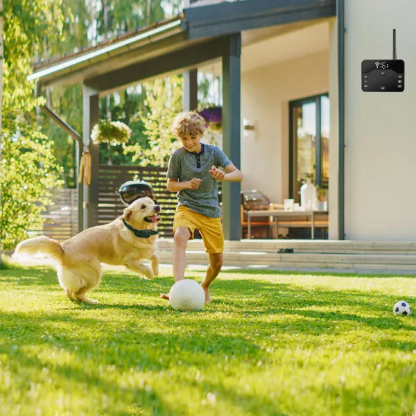 Wireless Waterproof Dog Fence & Training Collar for Small to Large Dogs
