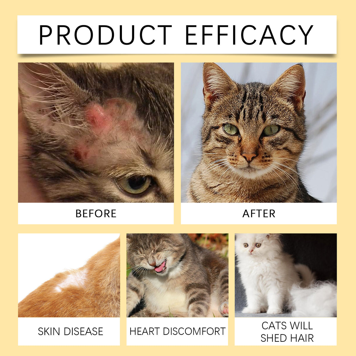 Cat Fish Oil Vitamins for Skin & Coat - 60 Tablets