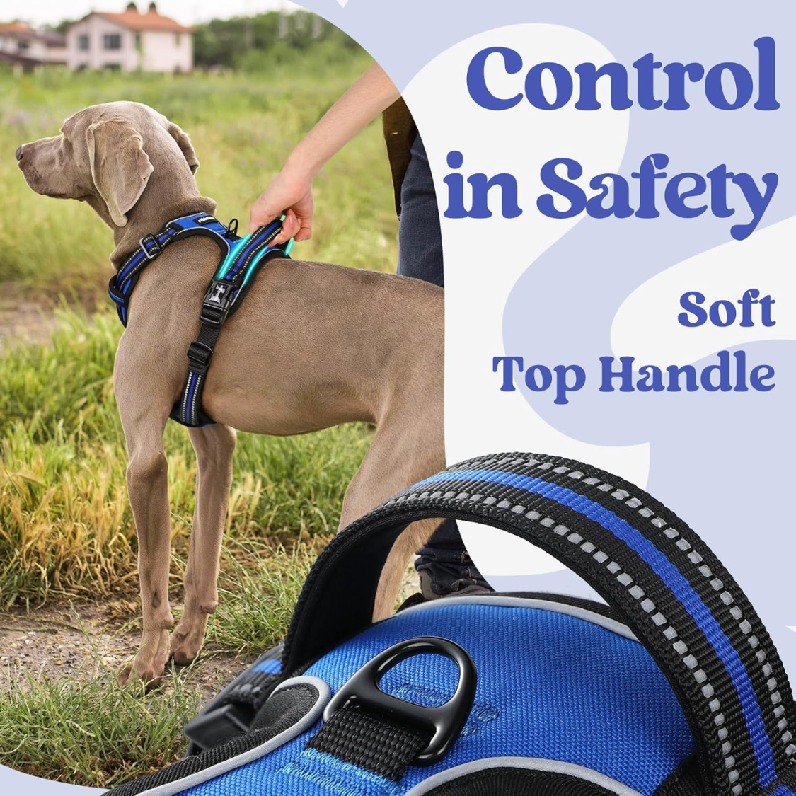Large No Pull Dog Harness with Reflective Strips, Adjustable Soft Walking Vest, 3 Buckles, Handle & 2 Clips, Blue, L
