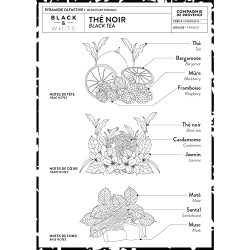 Compagnie de Provence Savon de Marseille Extra Pure Liquid Soap, Black Tea, Two 33.8 Fl Oz Plastic Bottle Refills
