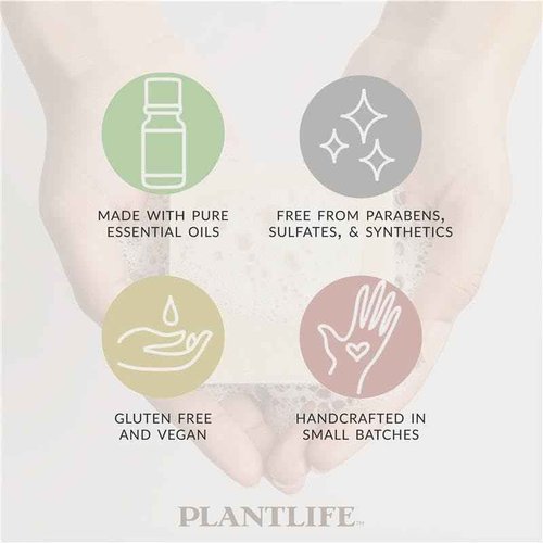 Plantlife Lavender 6-pack Bar Soap - Moisturizing and Soothing Soap for Your Skin - Hand Crafted Using Plant-Based Ingredients - Made in California 4oz Bar