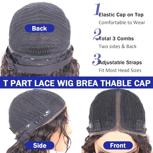 Straight Wigs Human Hair Wear and Go Glueless Wigs Human Hair Pre Plucked Pre Cut HD Lace Front Wig 180 Density Layered Wig Black Mixed Brown 20 inch FS1B/30