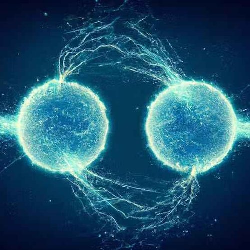 Shwally Tallow & Methylene Blue Anti-Aging Face Moisturizer – With Vitamin C, CoQ10 & Squalane – Minimizes wrinkles & Improves Collagen Production (2 Oz, Not Scented)