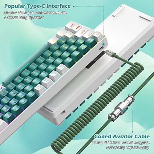 ZIYOU LANG RK-T60 Wired Mechanical Gaming Keyboard Mini Portable with Rainbow Backlit 62Key ABS Keycaps Full Anti-Ghosting Ergonomic Design Coiled Aviator Cable for PS4/PC/WIN Gamer(Blue/Red Switch)