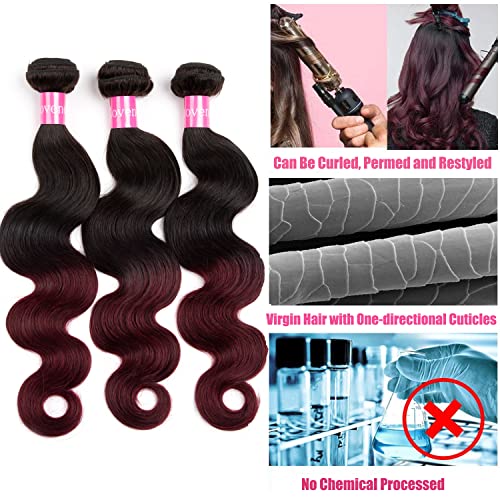 2 Tone Ombre Body Wave Human Hair 3 Bundles with 4x4 Lace Closure 100% Brazilian Remy Virgin Hair Body Wave Human Hair Bundles with 4x4 Free Part Lace Closure(T1B/99J, 10 12 14+10)